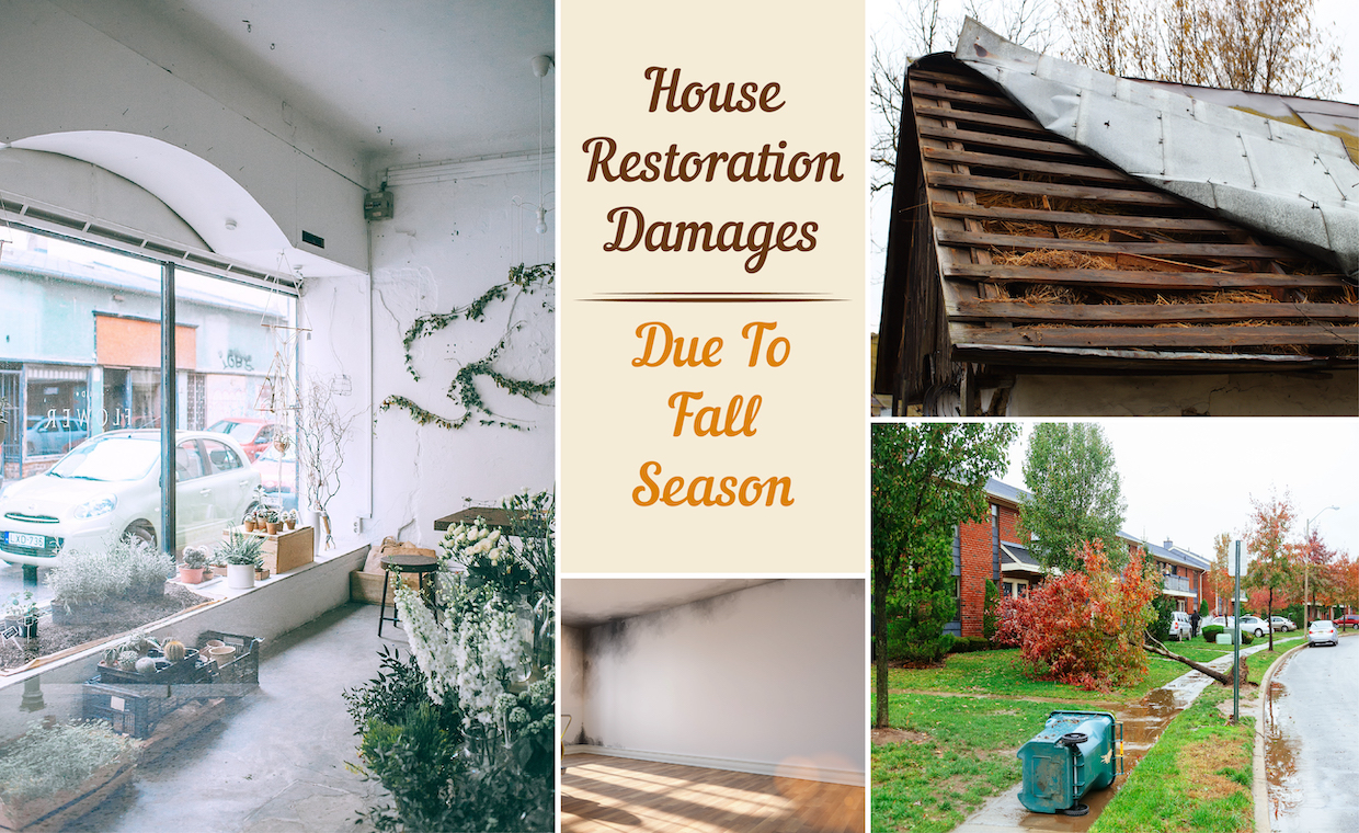 Common restoration damages