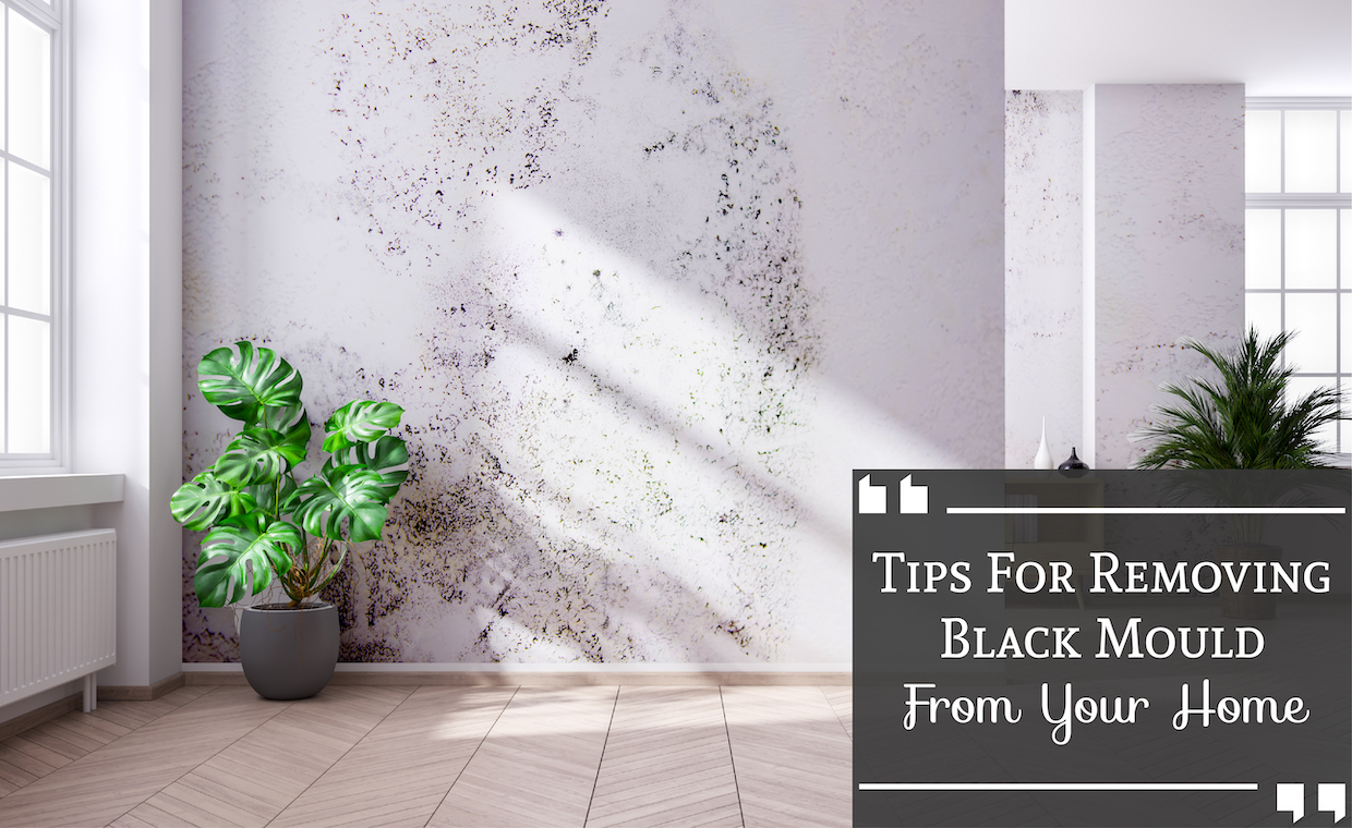 How To Get Rid Of Black Mould