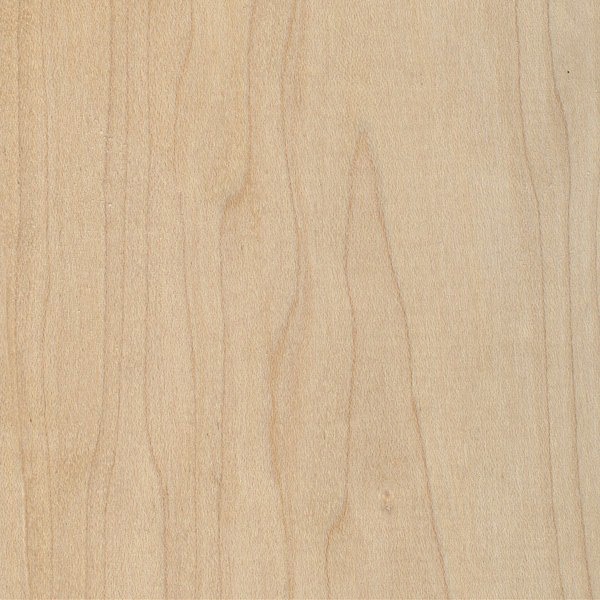 Maple wood