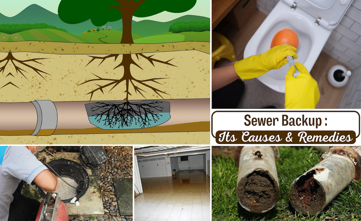 Sewer Backup Causes & its Remedies