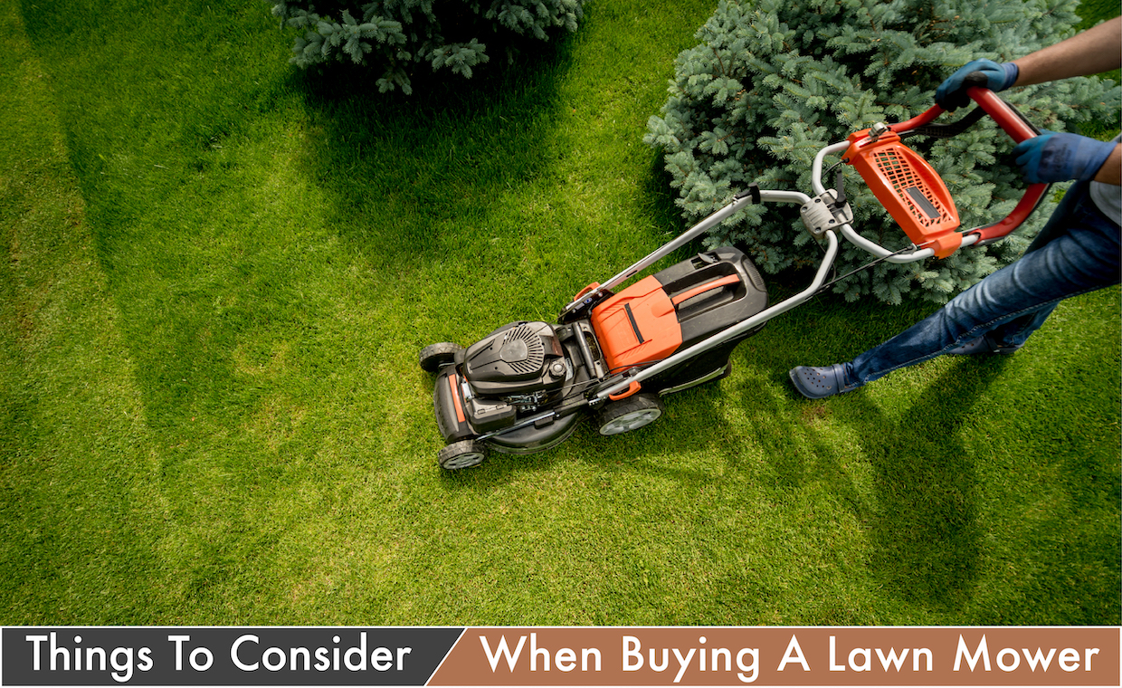 Things to Consider When Buying A Lawn Mover