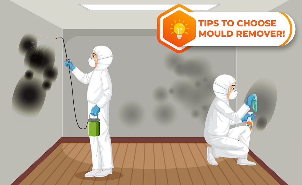 Tips to Choose Mould Remover