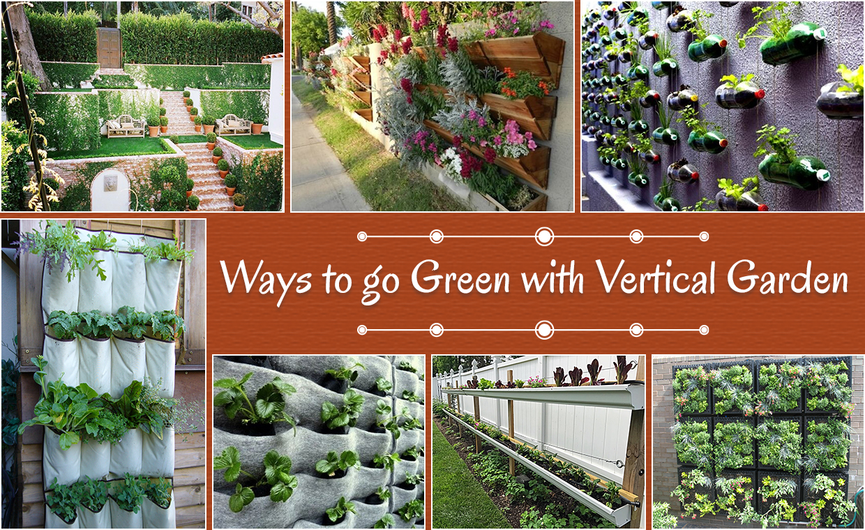 Ways to Create Vertical Garden