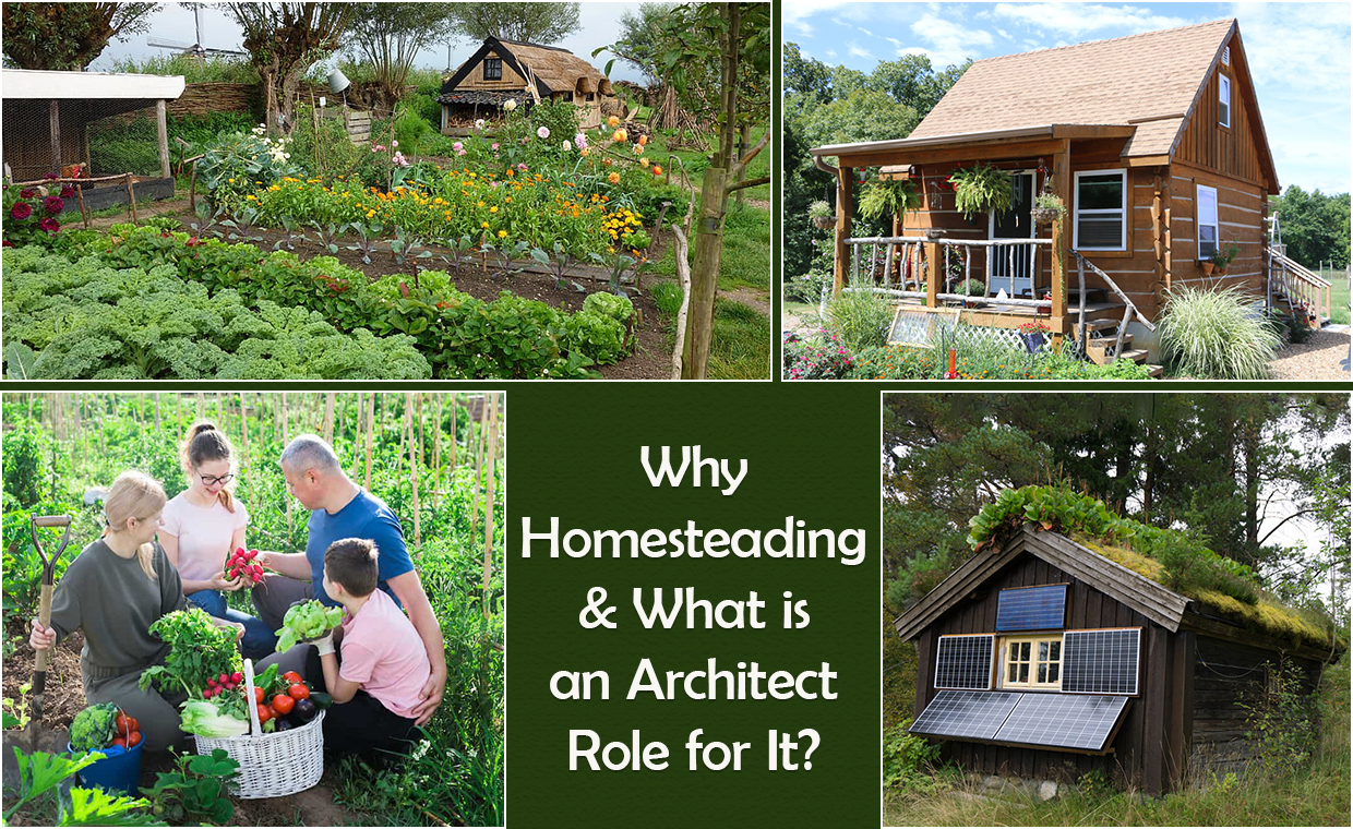 Why Homesteading & What is Architect Role for It